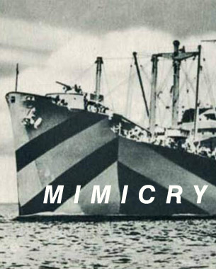 Mimicry