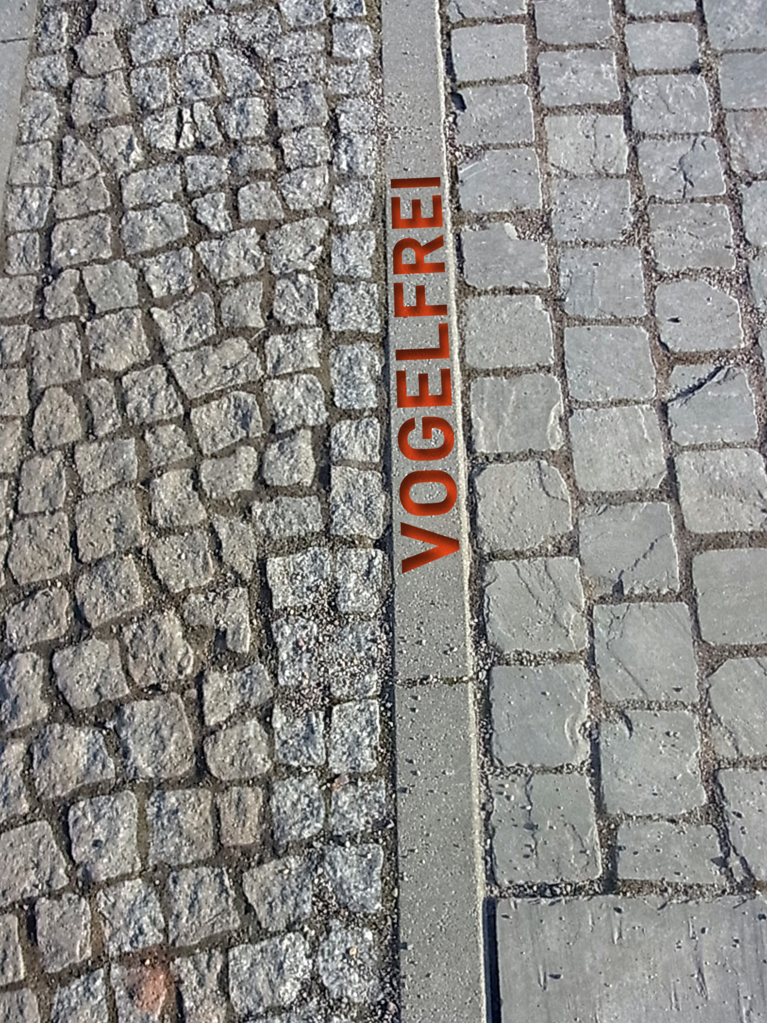 Vogelfrei